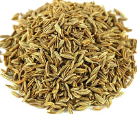 Cumin Seed