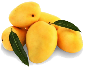 Kesar Mango