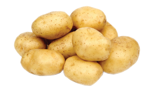 Potato