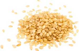 Sesame Seeds