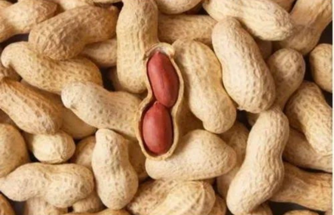 Bold Peanut