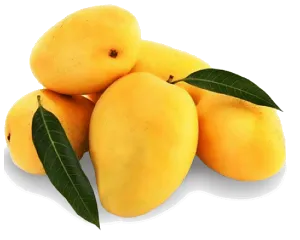 Kesar Mango