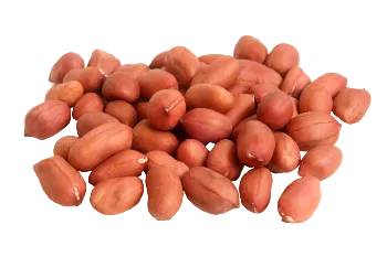 Peanut