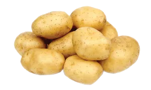 Potato