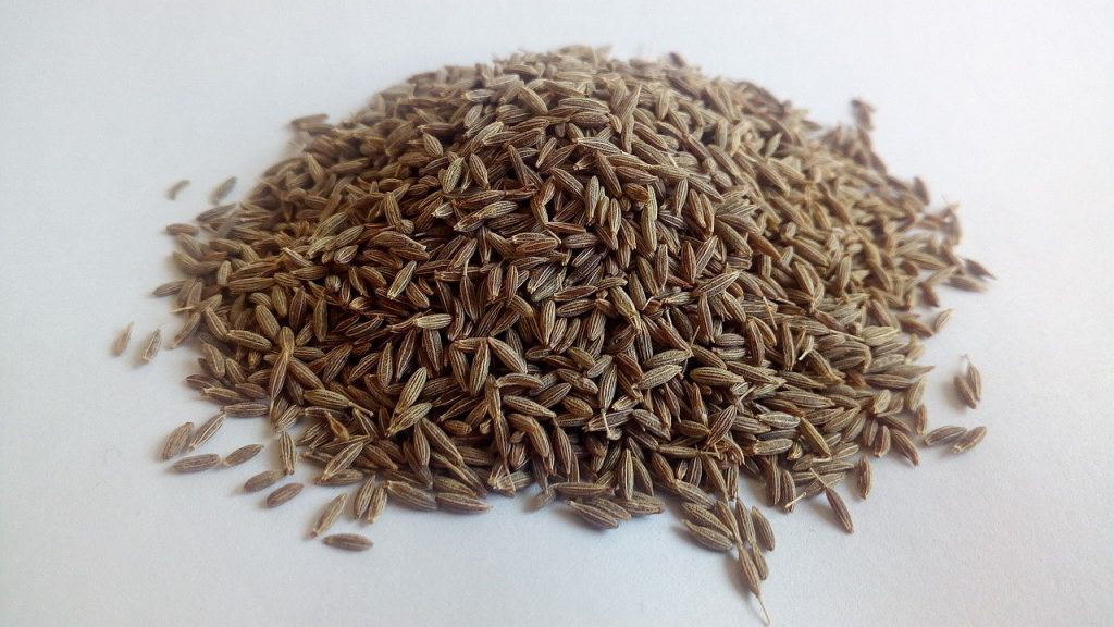 Cumin Seeds 