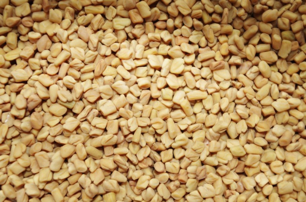 Fenugreek Seeds   